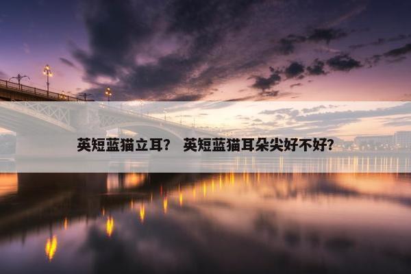 英短蓝猫立耳？ 英短蓝猫耳朵尖好不好？