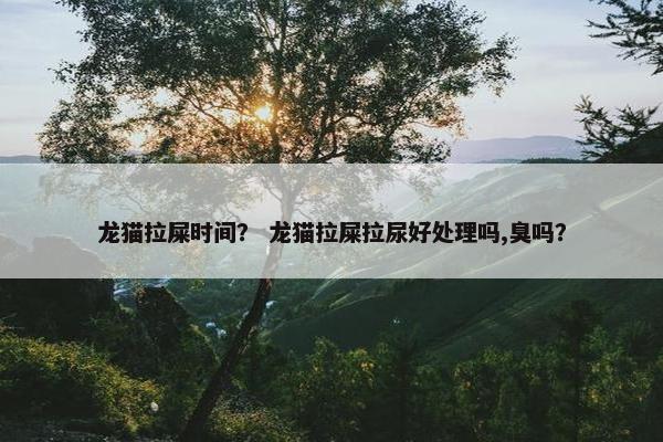 龙猫拉屎时间？ 龙猫拉屎拉尿好处理吗,臭吗？