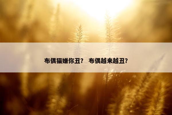 布偶猫嫌你丑？ 布偶越来越丑？