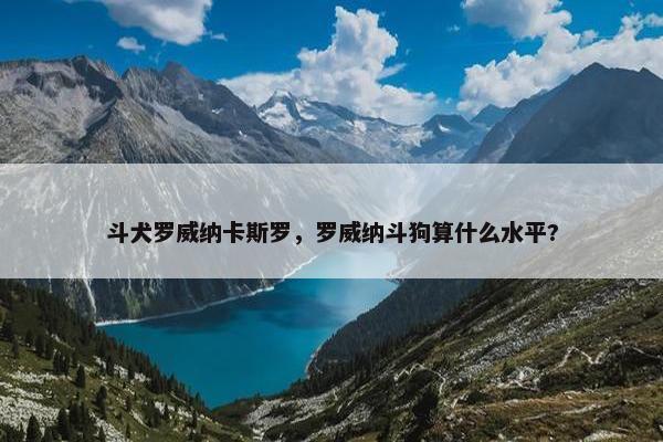 斗犬罗威纳卡斯罗，罗威纳斗狗算什么水平?