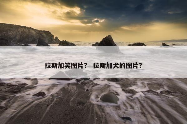 拉斯加笑图片？ 拉斯加犬的图片？