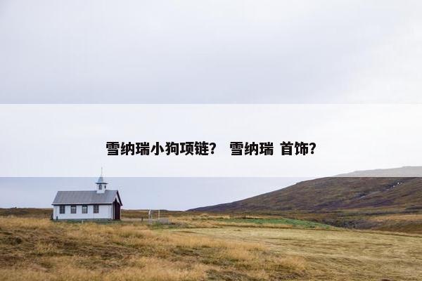 雪纳瑞小狗项链？ 雪纳瑞 首饰？