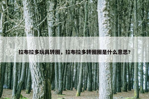 拉布拉多玩具转圈，拉布拉多转圈圈是什么意思?