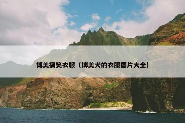 博美搞笑衣服（博美犬的衣服图片大全）