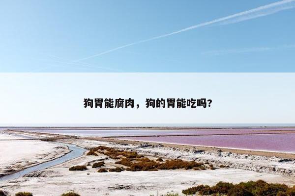 狗胃能腐肉，狗的胃能吃吗?
