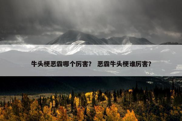 牛头梗恶霸哪个厉害？ 恶霸牛头梗谁厉害？