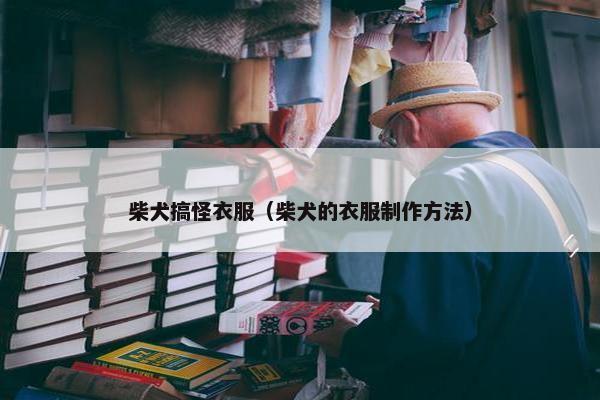 柴犬搞怪衣服（柴犬的衣服制作方法）