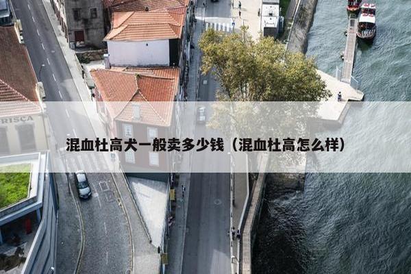 混血杜高犬一般卖多少钱（混血杜高怎么样）