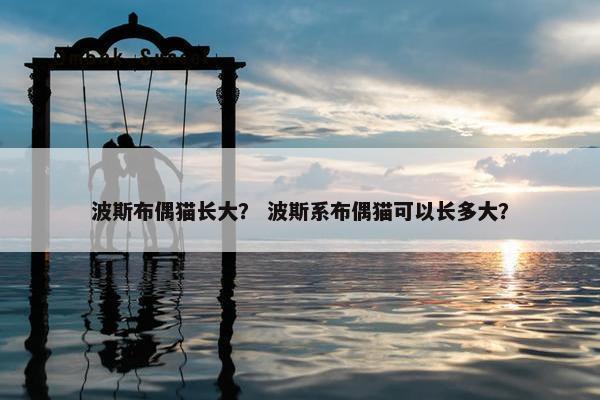 波斯布偶猫长大？ 波斯系布偶猫可以长多大？