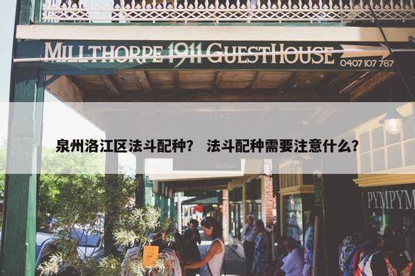 泉州洛江区法斗配种？ 法斗配种需要注意什么？