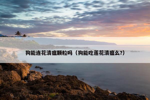 狗能连花清瘟颗粒吗（狗能吃莲花清瘟么?）