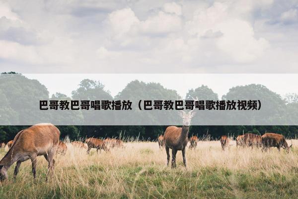 巴哥教巴哥唱歌播放（巴哥教巴哥唱歌播放视频）