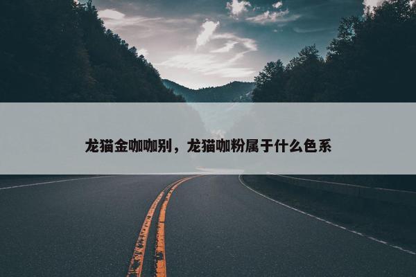 龙猫金咖咖别，龙猫咖粉属于什么色系