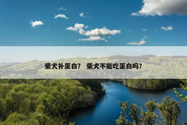 柴犬补蛋白？ 柴犬不能吃蛋白吗？