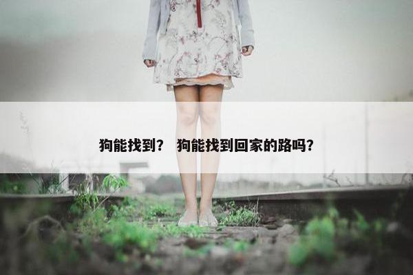 狗能找到？ 狗能找到回家的路吗？