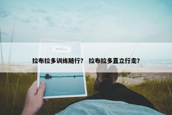 拉布拉多训练随行？ 拉布拉多直立行走？