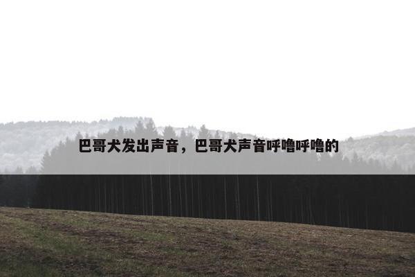 巴哥犬发出声音，巴哥犬声音呼噜呼噜的