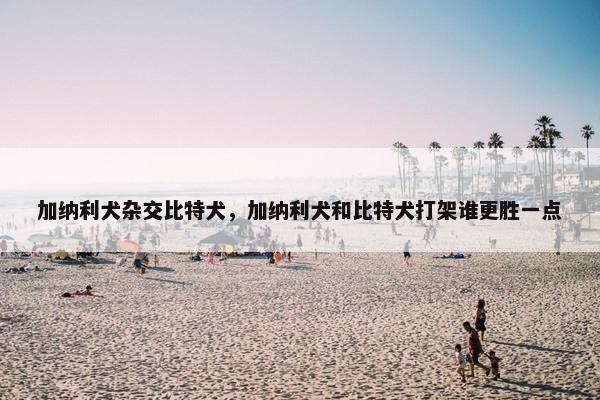 加纳利犬杂交比特犬，加纳利犬和比特犬打架谁更胜一点