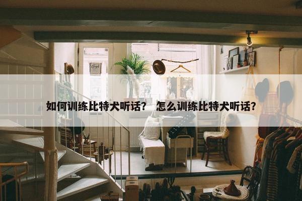 如何训练比特犬听话？ 怎么训练比特犬听话？