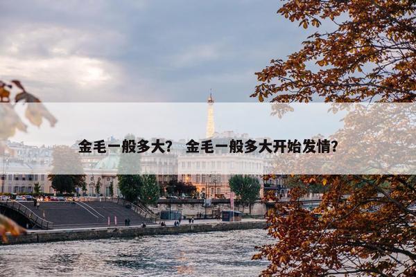 金毛一般多大？ 金毛一般多大开始发情？