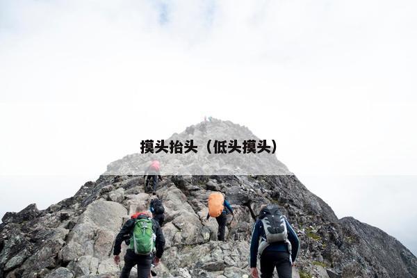 摸头抬头（低头摸头）