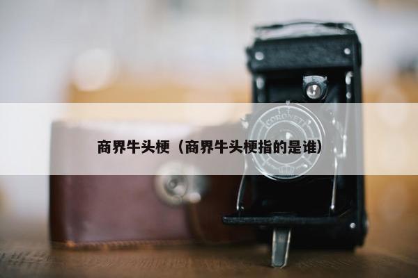 商界牛头梗（商界牛头梗指的是谁）