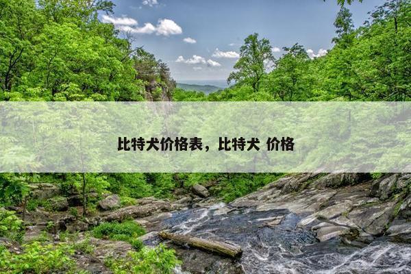 比特犬价格表，比特犬 价格