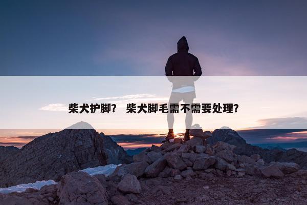 柴犬护脚？ 柴犬脚毛需不需要处理？