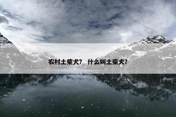 农村土柴犬？ 什么叫土柴犬？
