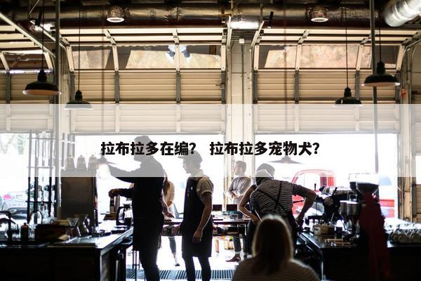 拉布拉多在编？ 拉布拉多宠物犬？