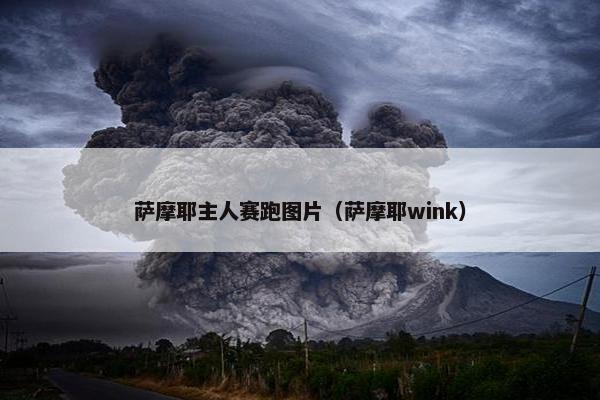 萨摩耶主人赛跑图片（萨摩耶wink）