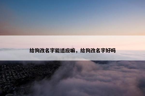给狗改名字能适应嘛，给狗改名字好吗