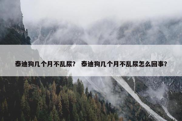 泰迪狗几个月不乱尿？ 泰迪狗几个月不乱尿怎么回事？