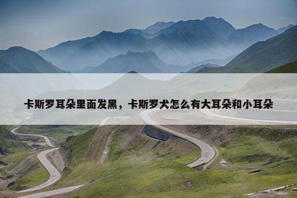 卡斯罗耳朵里面发黑，卡斯罗犬怎么有大耳朵和小耳朵