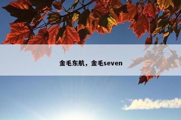 金毛东航，金毛seven
