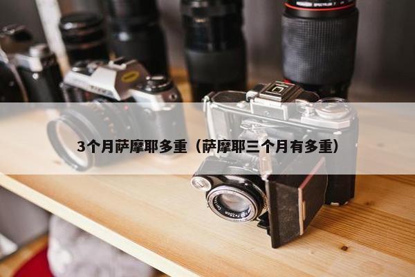 3个月萨摩耶多重（萨摩耶三个月有多重）