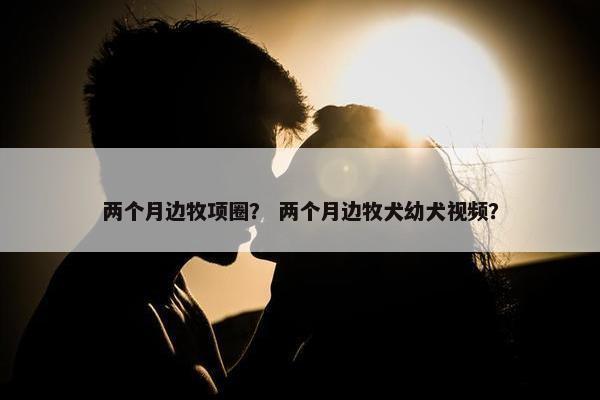 两个月边牧项圈？ 两个月边牧犬幼犬视频？