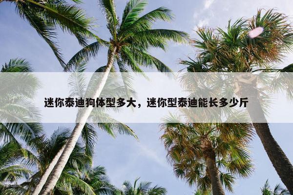 迷你泰迪狗体型多大，迷你型泰迪能长多少斤