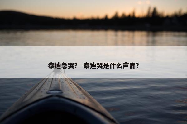 泰迪急哭？ 泰迪哭是什么声音？