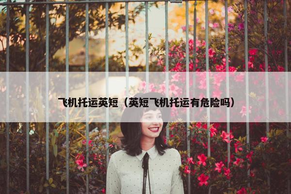 飞机托运英短（英短飞机托运有危险吗）