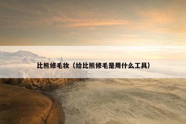 比熊修毛妆（给比熊修毛是用什么工具）