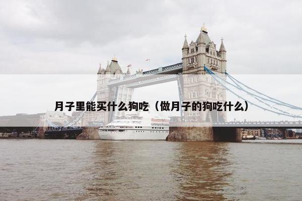 月子里能买什么狗吃（做月子的狗吃什么）