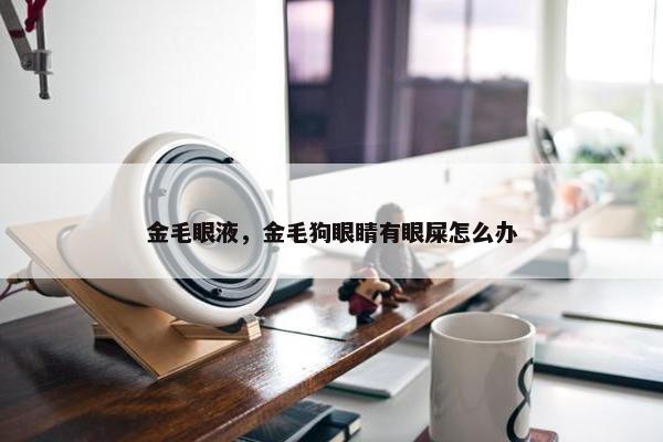 金毛眼液，金毛狗眼睛有眼屎怎么办