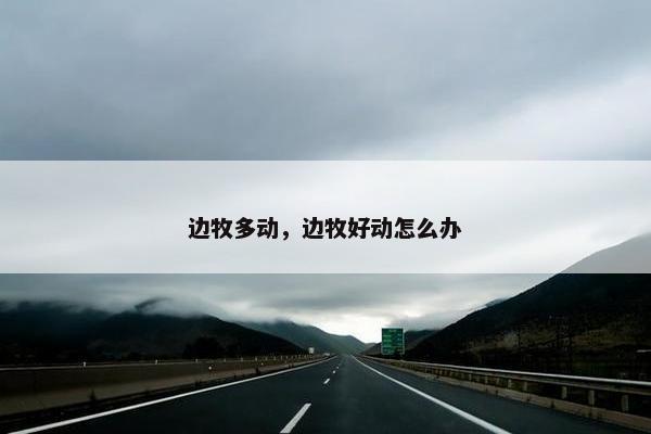 边牧多动，边牧好动怎么办