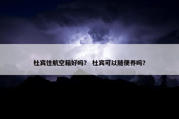 杜宾住航空箱好吗？ 杜宾可以随便养吗？