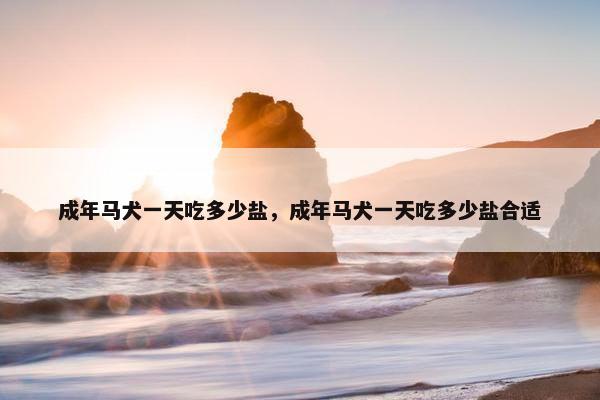 成年马犬一天吃多少盐，成年马犬一天吃多少盐合适
