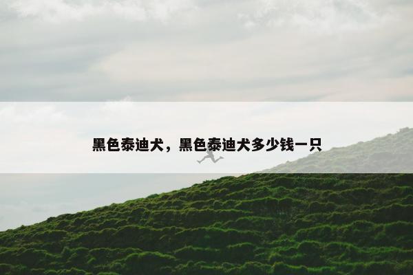 黑色泰迪犬，黑色泰迪犬多少钱一只