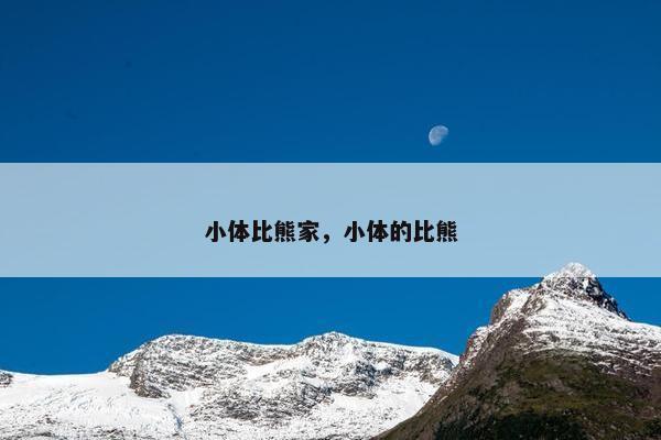 小体比熊家，小体的比熊