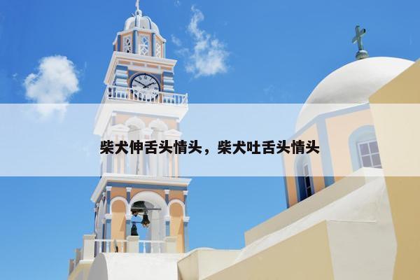 柴犬伸舌头情头，柴犬吐舌头情头