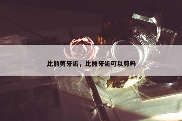 比熊剪牙齿，比熊牙齿可以剪吗